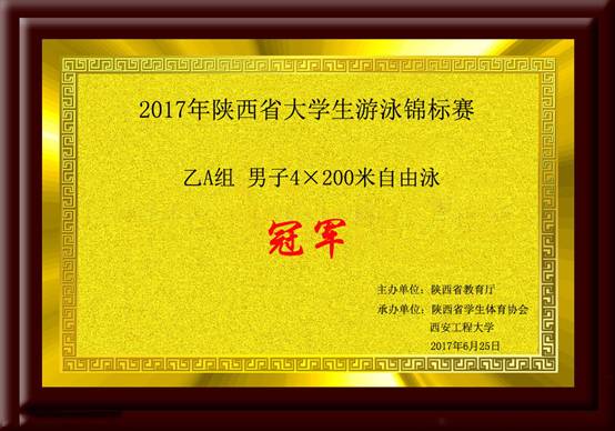 2017年陕西省老员工游泳锦标赛乙A组男子4×200米自由泳.jpg